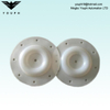 E505TF Versa-Matic 1/2 pouce diaphragm PTFE 