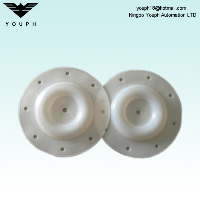 E505TF Versa-Matic 1/2 pouce diaphragm PTFE 