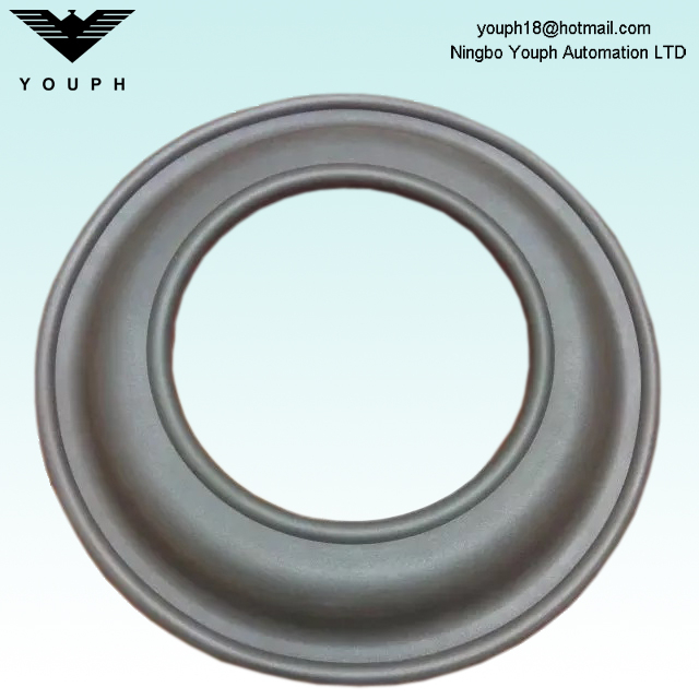 15-1010-53 Pièces de diaphragme FKM Viton Wilden pour 3 pouces POSTES P15 P1500 POMME PNEUMATIQUE 