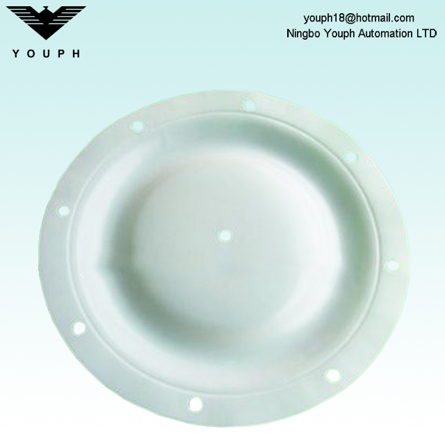 6338 BSK 3 pouces membrane PTFE de BSK-80 BA80AL BA80SS BA80CI