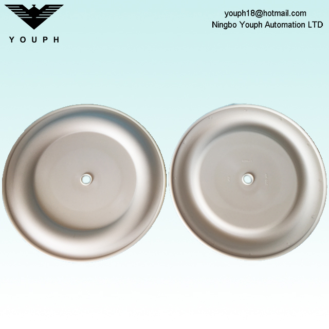 6294-1 BSK 2 'Diaphragme de pompe pneumatique Partie Santoprène Diamètre extérieur 290 mm Fit Ba50al