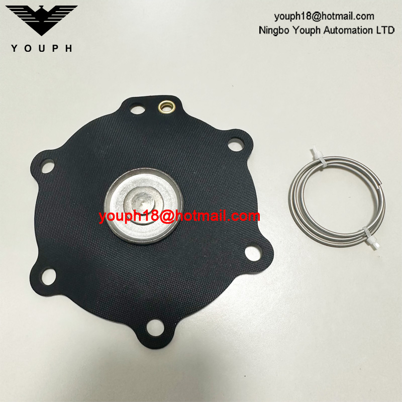 DB114 DB16 Valve d'impulsion VEM214 VNP214 Kit de réparation de diaphragm