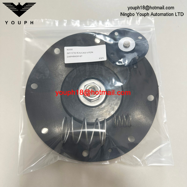GOYEN K5000 M1157A RCA50T CA50T T-Series 2 'Soupape d'impulsion Viton Diaphragm à haute température