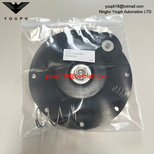 GOYEN K10200 CA102MM RCA102MM 4 'Kit de réparation de sceau de diaphragme