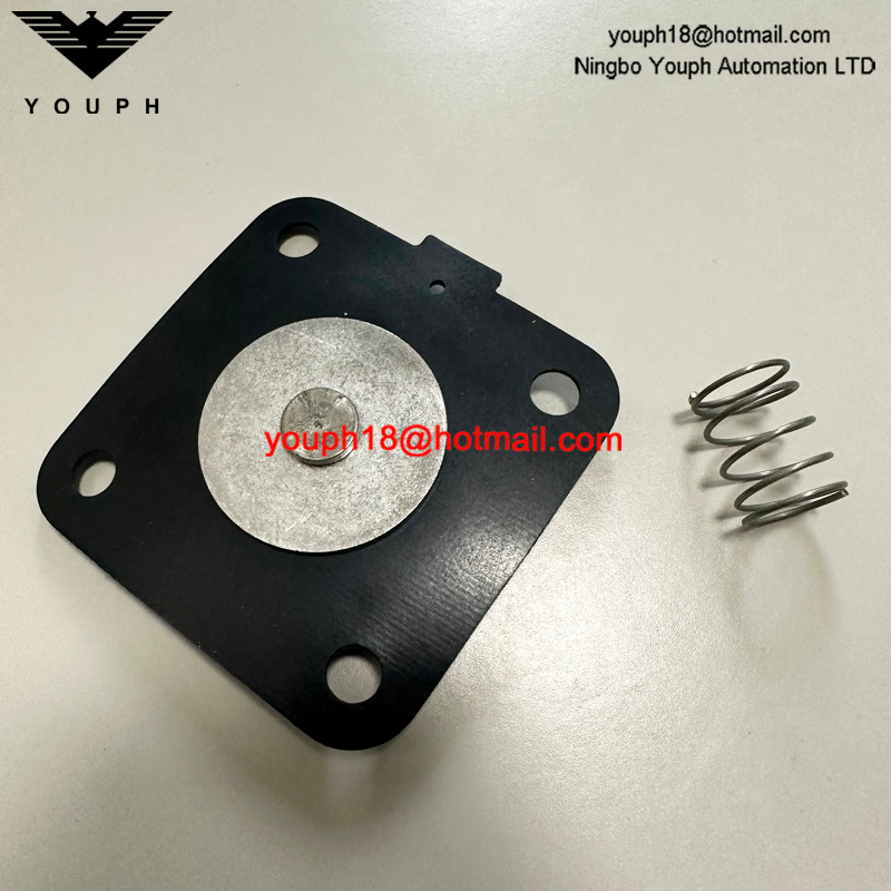 GOYEN K2501 M1183B RCA25DD CAC25FS RCAC25FS Valve de soupape DN25 Kit de diaphragm