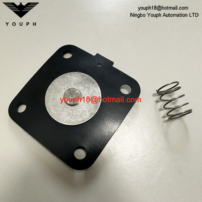 GOYEN K2501 M1183B RCA25DD CAC25FS RCAC25FS Valve de soupape DN25 Kit de diaphragm