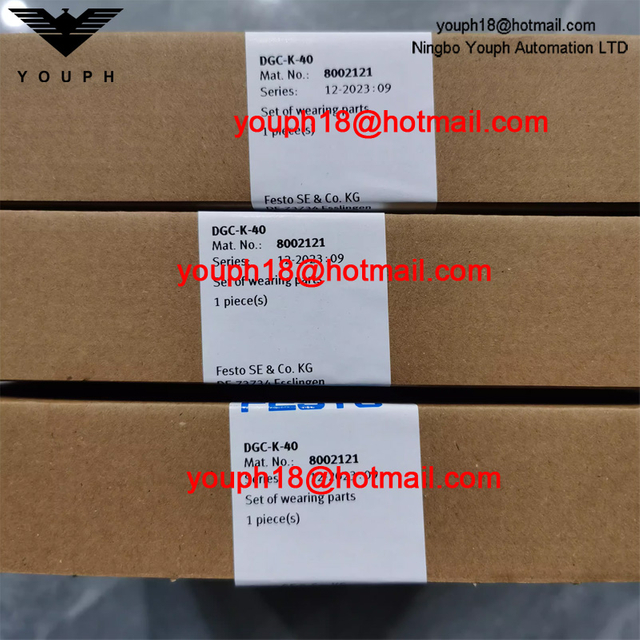 Festo DGC-K-40 8002121 DGC-K Linear Drive Cylinder Agruator Repair Kit