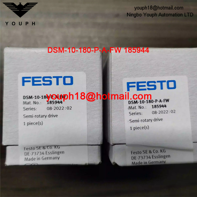 FESTO DSM-10-180-PA-FW 185944 M3 DSM DSM DSI