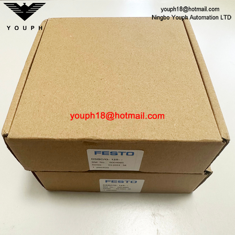 FESTO DSBC / G-125-- 8004985 DSBC125 Kit de réparation du cylindre Standad