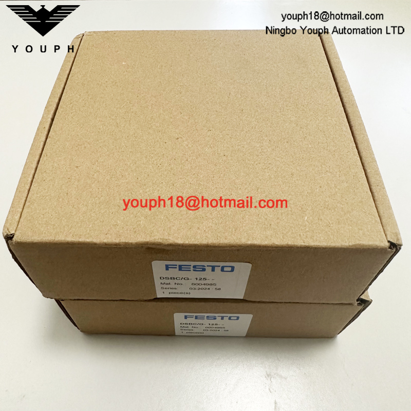 FESTO DSBC / G-125-- 8004985 DSBC125 Kit de réparation du cylindre Standad