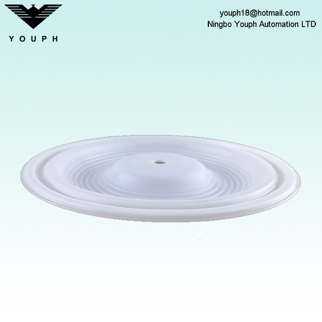 Wilden 02-1010-55 Membrane PTFE pour P2 P200 Pompes à diaphragme pneumatique 1 pouce