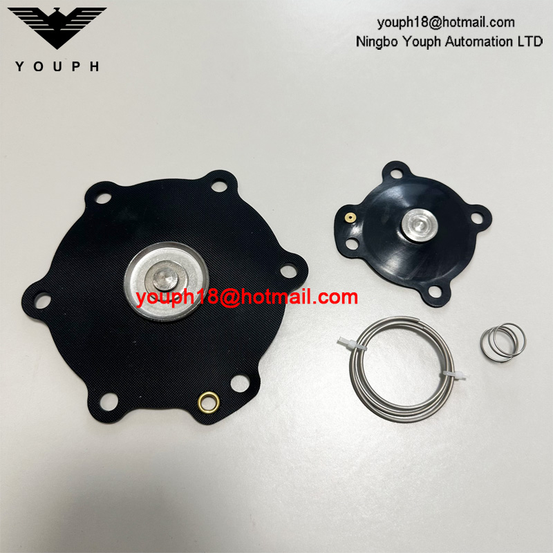 DB114 DB16 Valve d'impulsion VEM214 VNP214 Kit de réparation de diaphragm