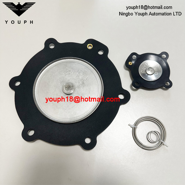 DB120 DB16 Salverome d'impulsion VEM220 VNP220 VEM420 VNP420 Kit de réparation de diaphragme de 2,5 pouces