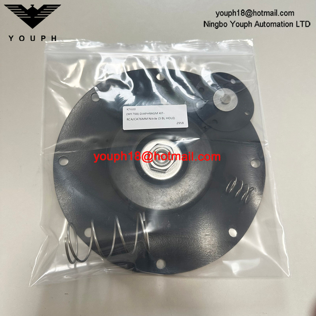 GOYEN K7600 M1798 RCA76MM CA76MM 3 'Nitrile 3 Bl Hole Buna Diaphragm Repair Kit