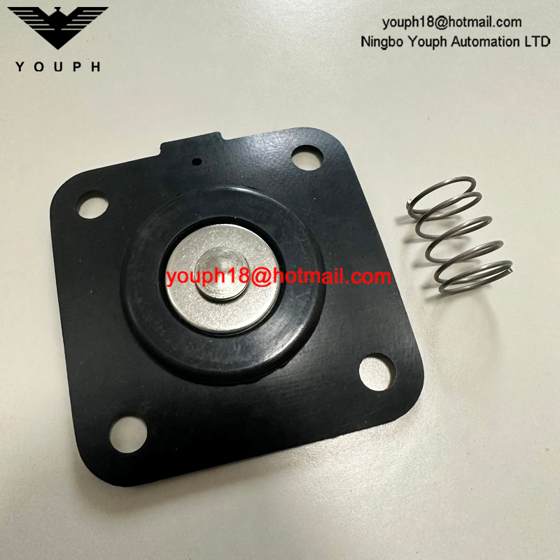 GOYEN K2501 M1183B RCA25DD CAC25FS RCAC25FS Valve de soupape DN25 Kit de diaphragm