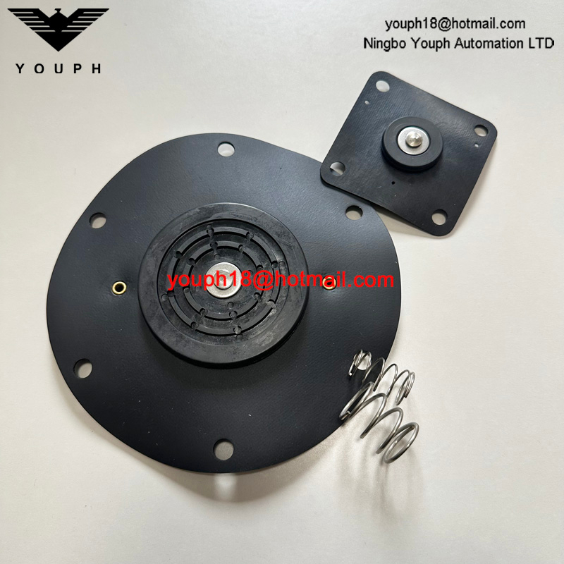 Kit de réparation pour la vanne de diaphragm 8493635.0000.0000 DN65 Pièce