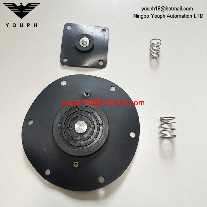 Kit de réparation 1247732.0000.00000 pour la vanne de diaphragm 8493635.0000.00000