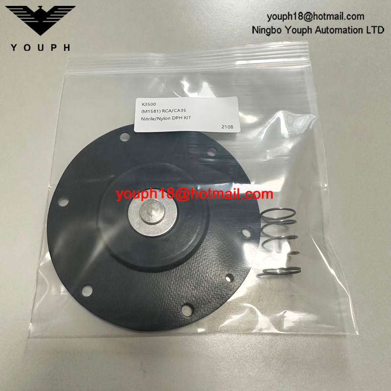 GOYEN K3500 M1581 DIAPHRAGM VALVE CA / RCA35T Kit de réparation en nitrile