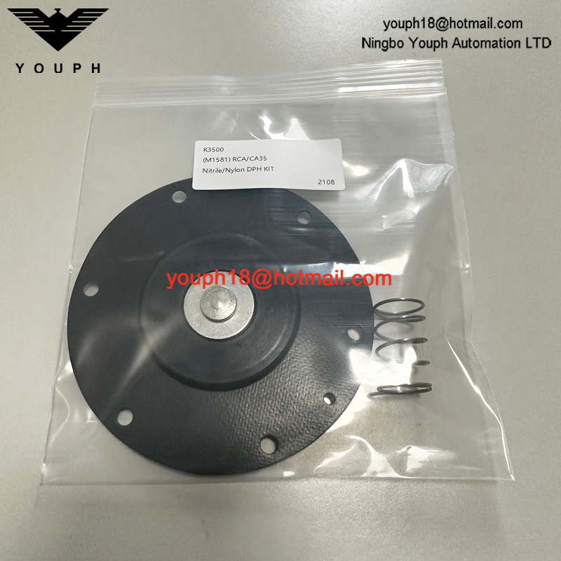 GOYEN K3500 M1581 DIAPHRAGM VALVE CA / RCA35T Kit de réparation en nitrile