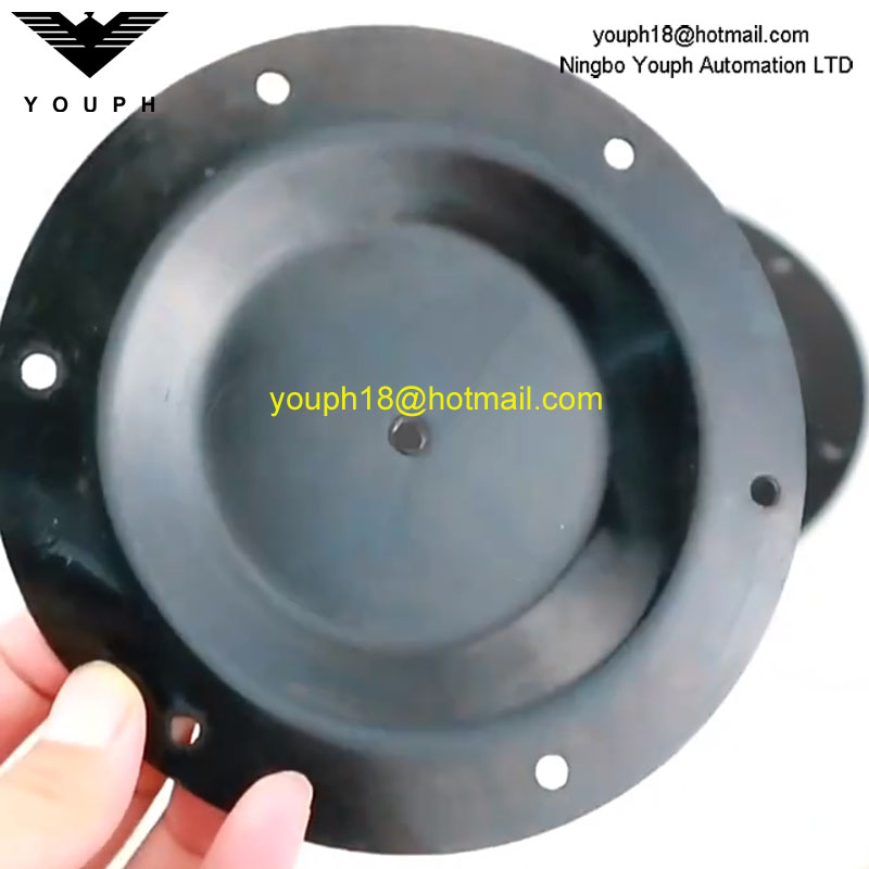 Chang Jiang QDM-CJ601S Diapragme en caoutchouc noir Diamètre extérieur 125 mm pour la pompe à diaphragme pneumatique 