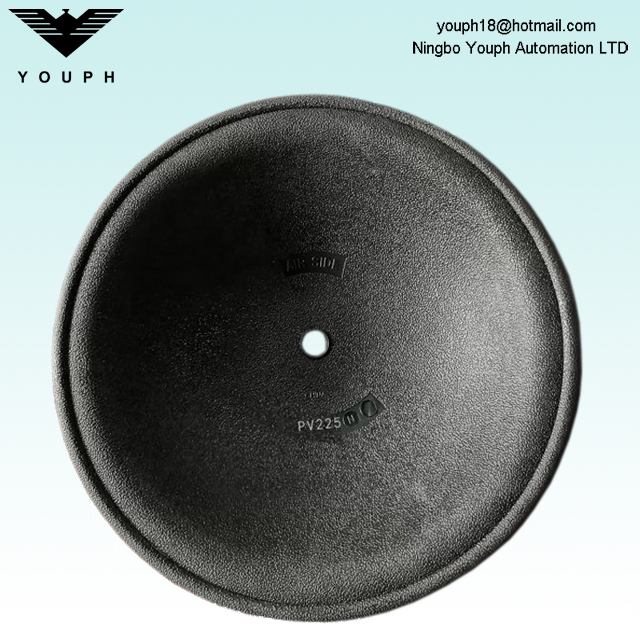 Diaphragme Versa-Matic PV225N Néoprène 