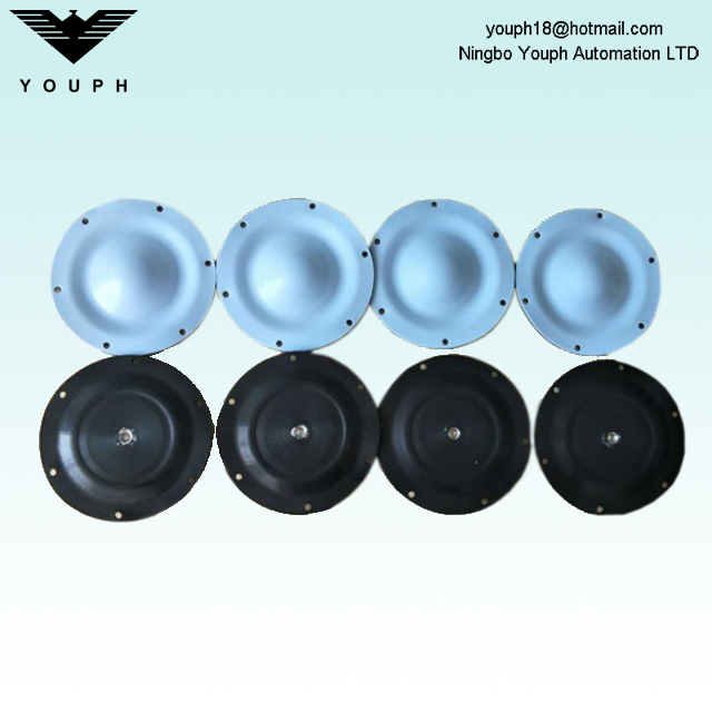 DM15 DM20 Dellmeco 6 trous de montage EP / C PTFE Diaphragm Extérieur Diamètre 144 mm