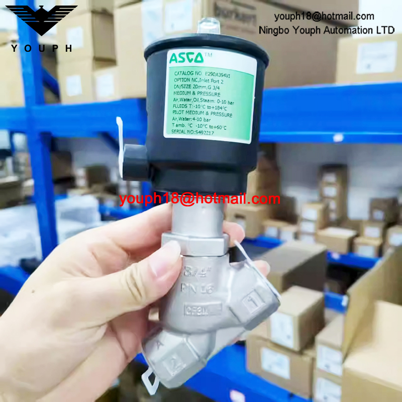 ASCO E290A394 E290A394VI 20mm G3/4 Port EMERSON VALVE à siège angulaire en acier inoxydable