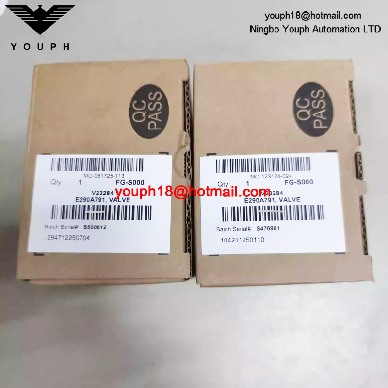 ASCO EMERSON E290A791 G3/8' VALVE à siège angulaire en acier inoxydable, taille 10 mm