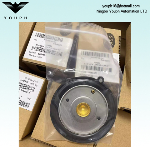 97701879 Kit de diaphragme de l'électrovanne ASCO SCG238F017 SCG238F018