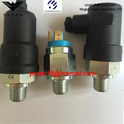 Euroswitch 3120252 31V10224 31V20224 31 31V Machine hydraulique Machine FKM DIAPHRAGM CUTER