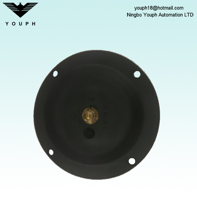 11003167 ALMATEC E10 PTFE et EPDM Double couche Diaphragm 