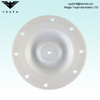 E505TF Versa-Matic 1/2 pouce diaphragm PTFE 