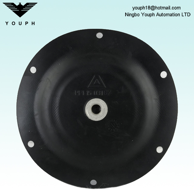 11503167 Partie diaphragme du composé PTFE / EPDM pour les pompes de série Almatec E15 E15TTT