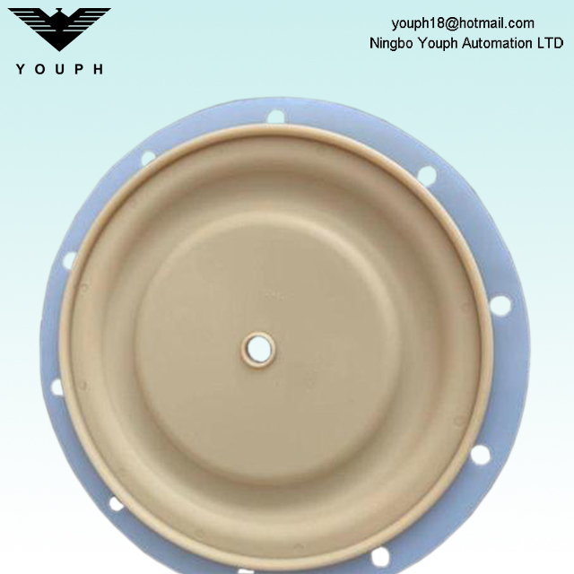 PTFE 6259 BSK-40 BA40AL 1.5 'Pompes pneumatiques Accessoires de diaphragme