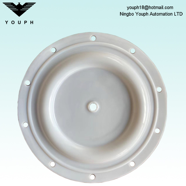 BSK-50 PTFE Diaphragm 6296 Diamètre extérieur 330 mm Pompes BA50al BA50P
