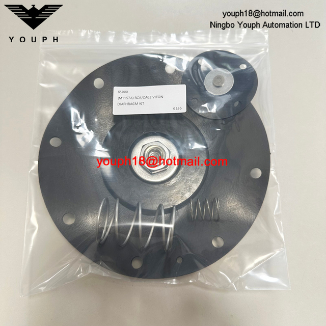 GOYEN K5000 M1157A RCA / CA62T VITON DIAPHRAGM RÉPARATION KIT