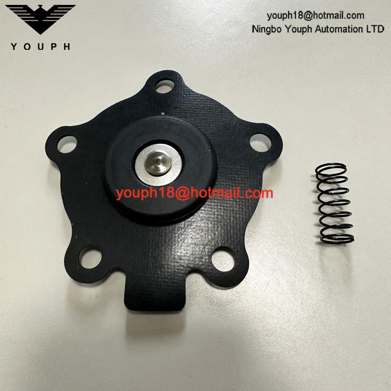 GOYEN K2003 M1174B CA20MM RCA20 mm Kit de réparation de diaphragme de soupape à jet d'impulsion RCA20MM