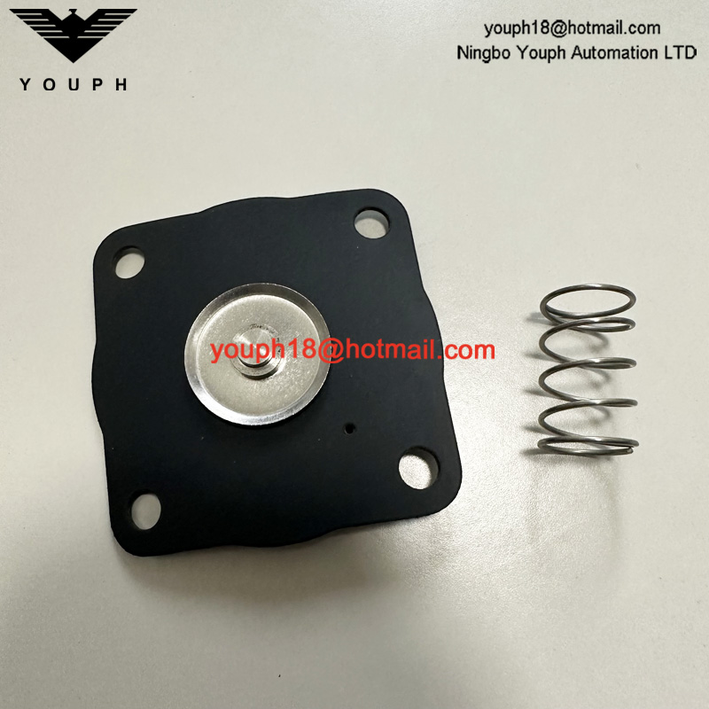 GOYEN K2033 RCAC20 RCAC20FS4 Kit de diaphragme de la vanne d'impulsion RCAC20ST4