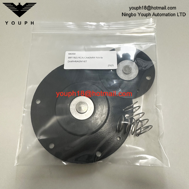 GOYEN K4000 M1182 DIAPHRAGM VALVE CA / RCA40T Kit de réparation de membrane