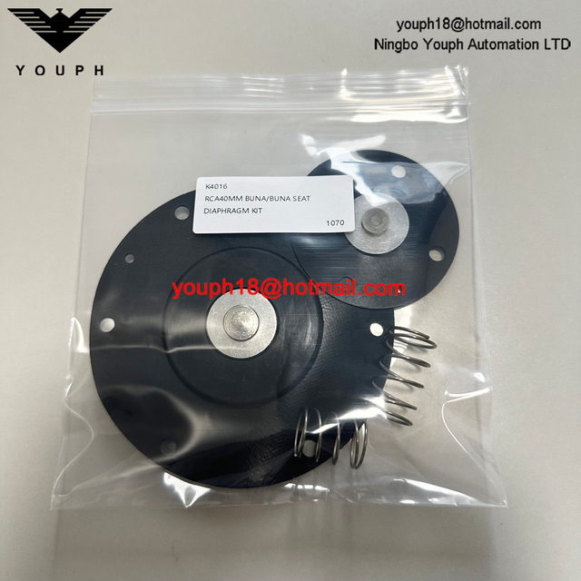 Kit de réparation de diaphragme de la vanne diaphragme GOYEN K4016