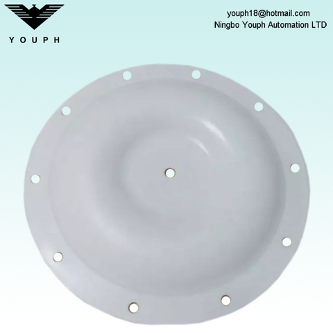 V227TF PTFE Diaphragm partie des pompes pneumatiques de la série Versa-Matic E40 E2HP
