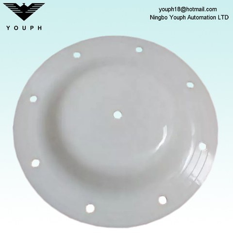 V183TF Versa-Matic E1 Series Pumps PTFE Diaphragm Pièces