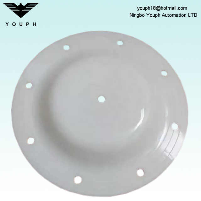 V183TF Versa-Matic E1 Series Pumps PTFE Diaphragm Pièces