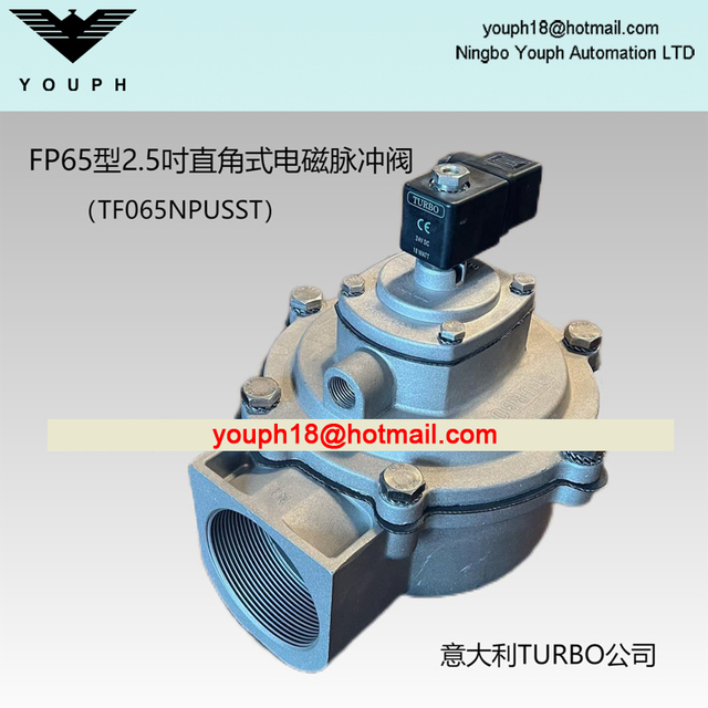 Italie Turbo FP65 TF065NPUSST VALVE à Jet d'impulsion filetée à diaphragme de 2.5 pouces